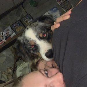 Meet your Posher, Logan